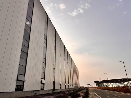 Q355B Struttura in acciaio Edificio di magazzino Facile assemblaggio e smontaggio