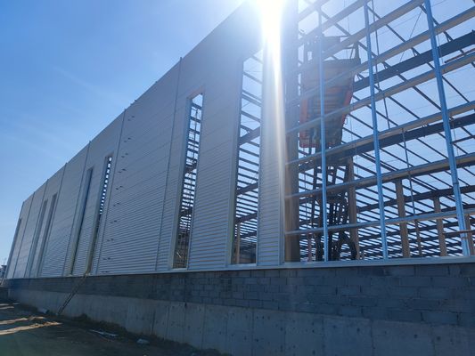 Fornitura di edifici con struttura in acciaio prefabbricata personalizzata zincata