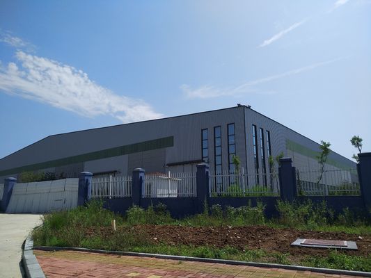 Ampiamente utilizzato Strutture in acciaio Edifici prefabbricati